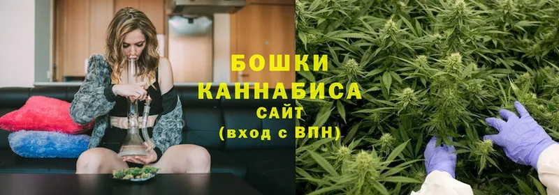 Канабис OG Kush  Гурьевск 